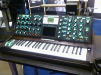 moog01.jpg