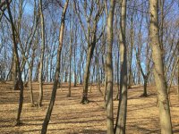 IMG_1655.jpg