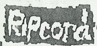 l_dc6552c082e7eac559b4d41f5d514e83.jpg