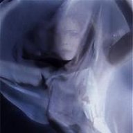 Anais