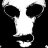 xc6_egor